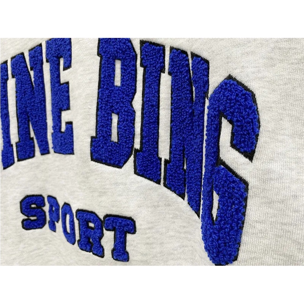 Anine Bing Sport Tyler Hoodie - Picture 3 of 5